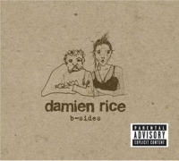 damienrice_bsides